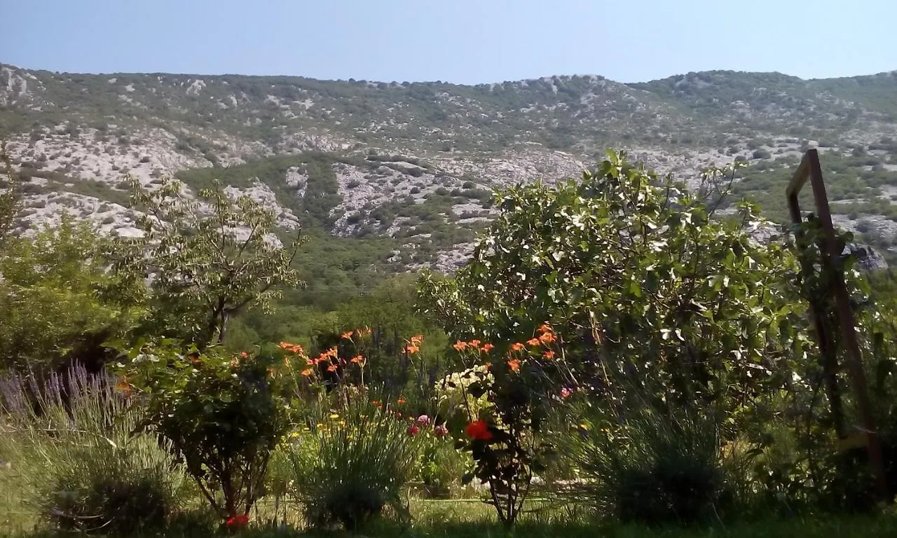 Appartamento Flora Drivenik Croazia